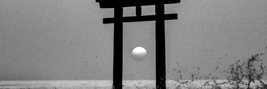 ll665ll's profile banner image