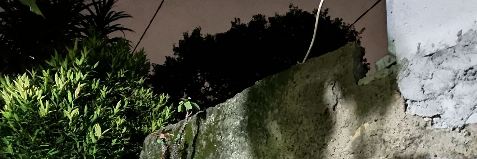 biubbie's profile banner image
