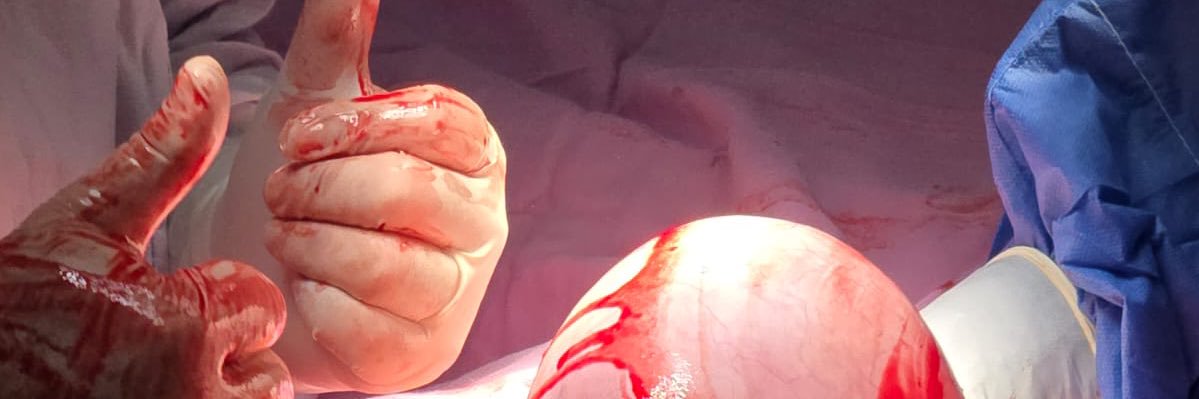 Samirsauu's profile banner image