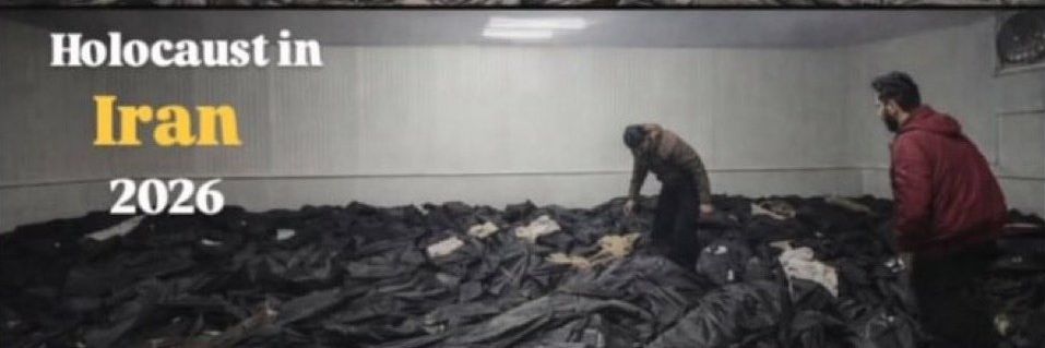 شبه‌ لیبرال banner