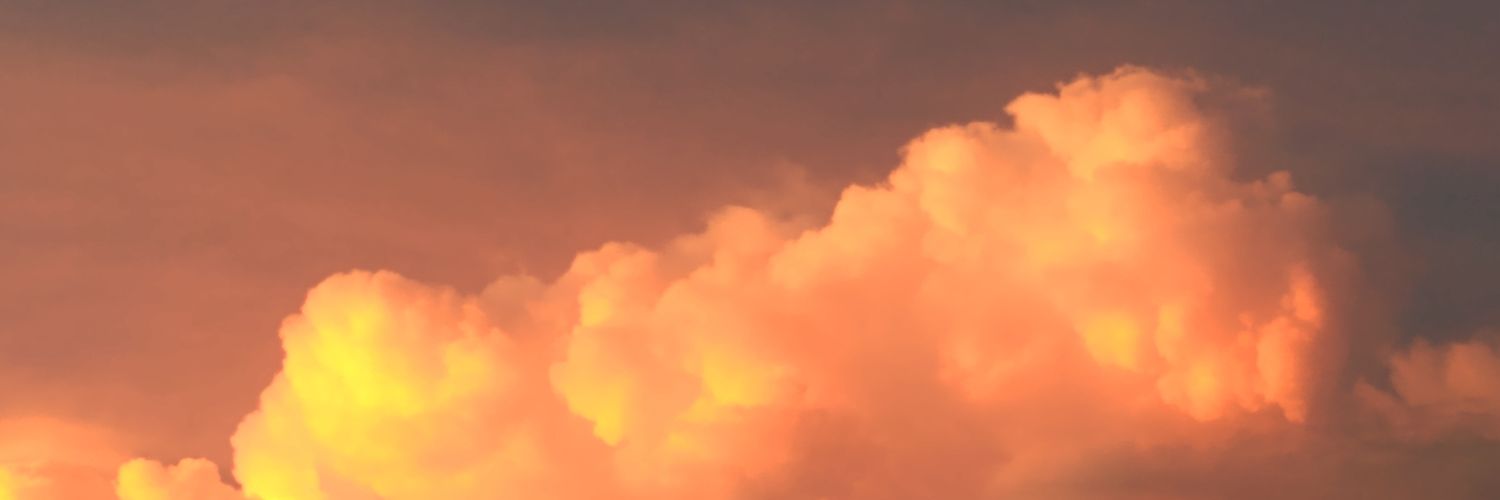 sejmeth's profile banner image