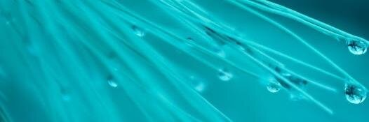 Selwin E. Prabakar banner