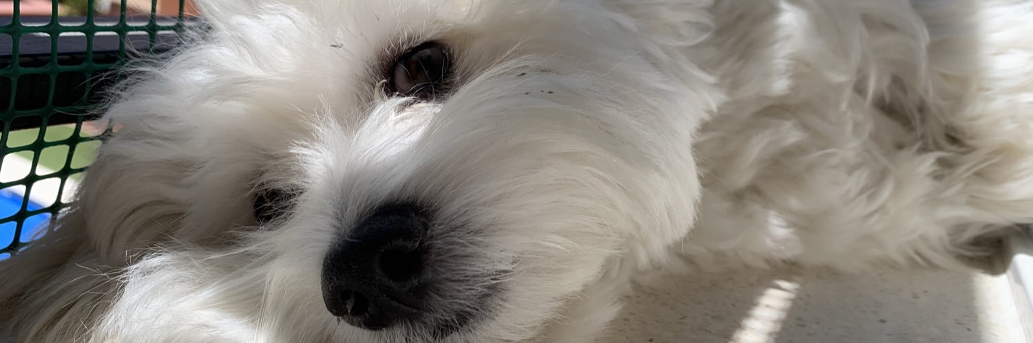 anperpez12's profile banner image