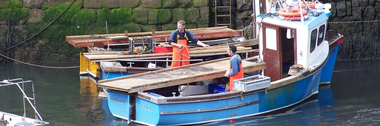 gordonandrew's profile banner image