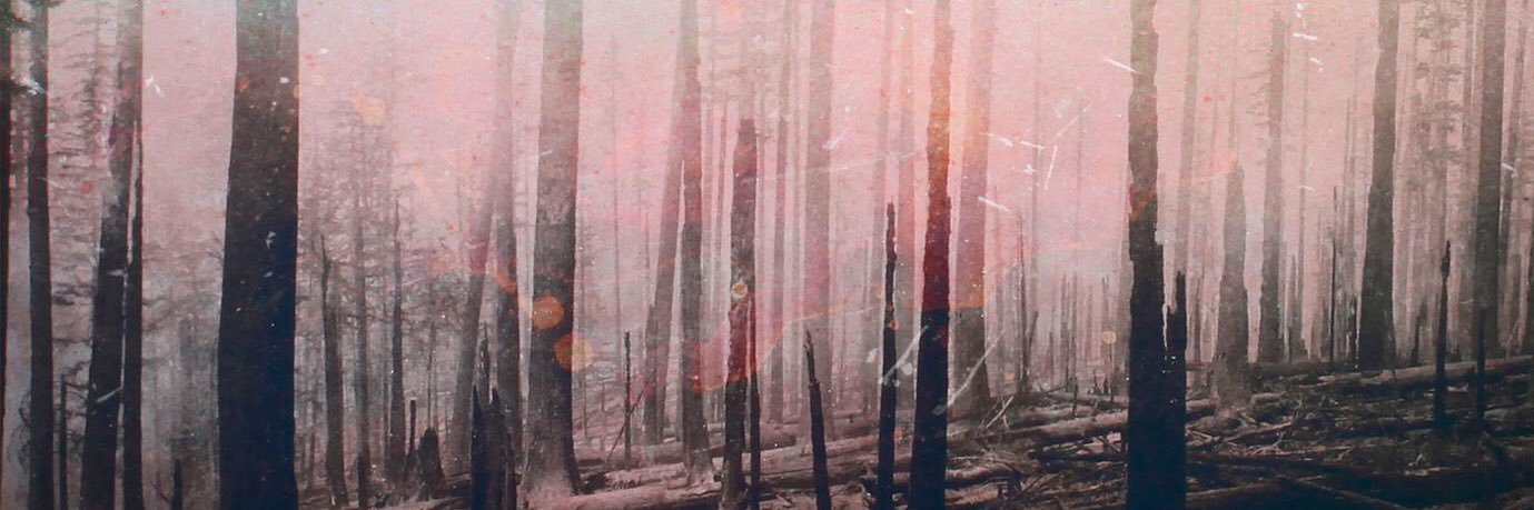cewalls's profile banner image