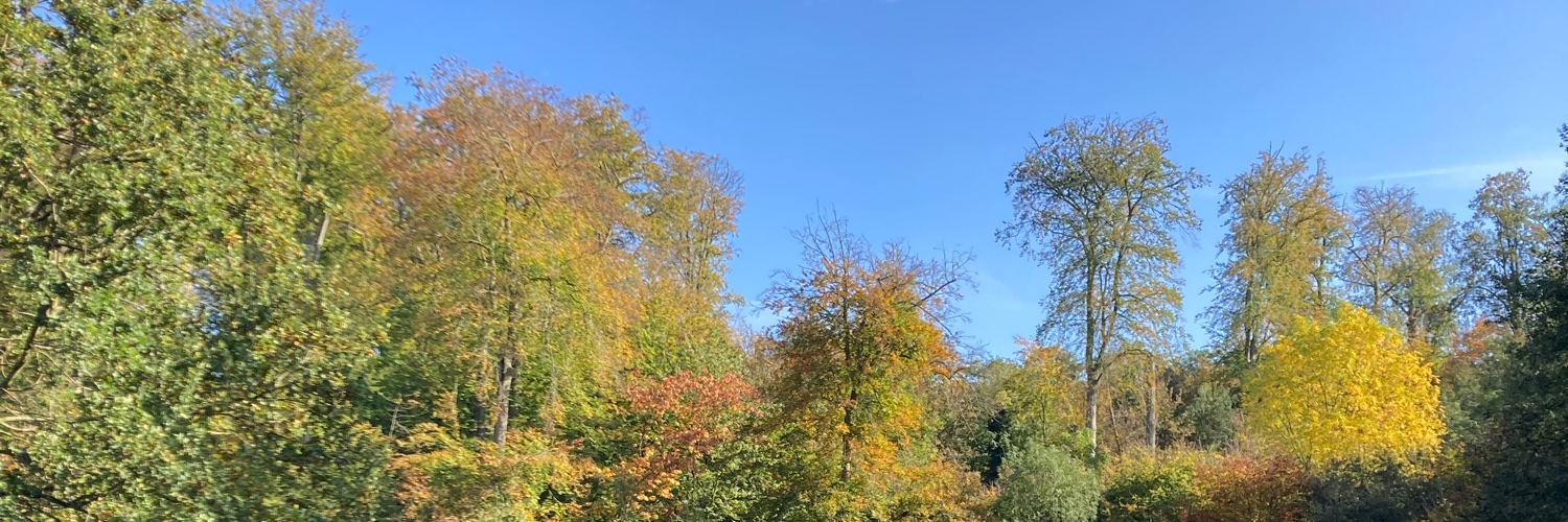 Bert Kindermans banner