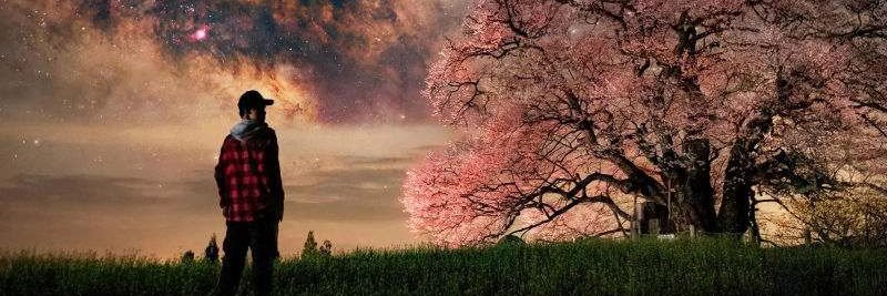 guadalupe centeno banner