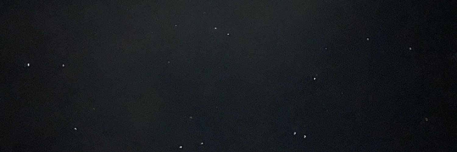 D Bug banner