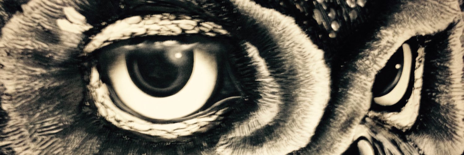 AndresLjcFont's profile banner image
