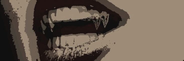 Moon banner