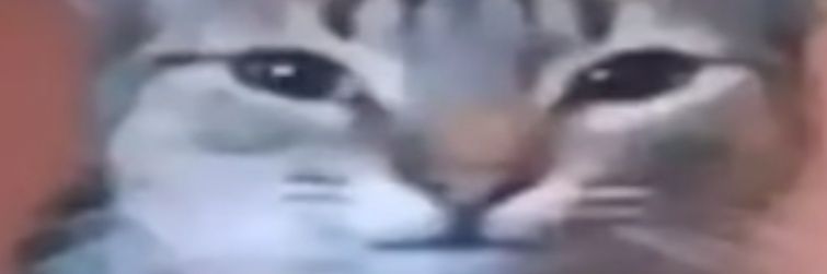 Just_Trank_'s profile banner image