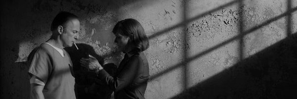 stiglexd Profile Banner