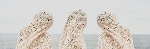 nA (｡･ω･｡) banner