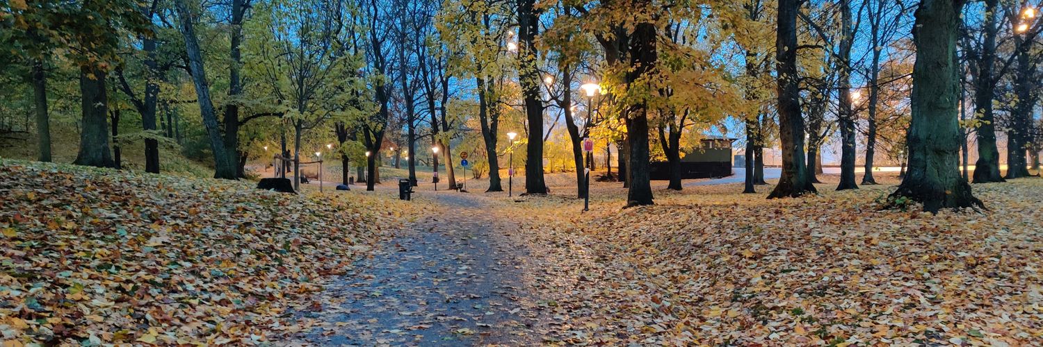 Tim אבי סוורד Nilimaa-Svärd banner