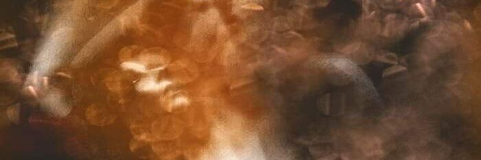 gazelleanimalia's profile banner image