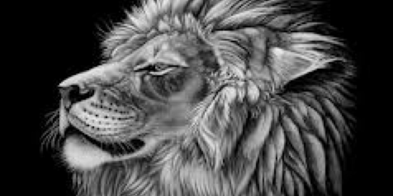 goans4's profile banner image