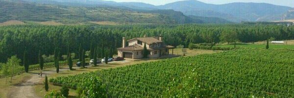 Sanchawine Profile Banner