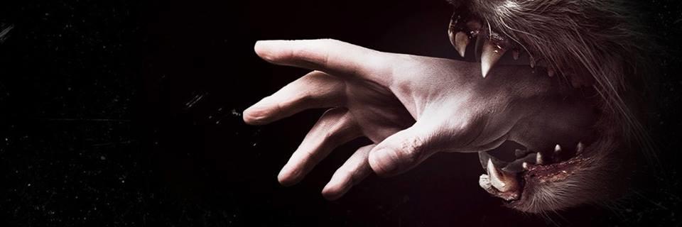 dido4022's profile banner image