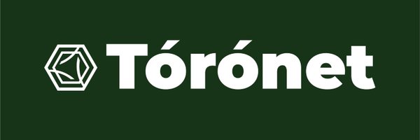 Toroforge Profile Banner