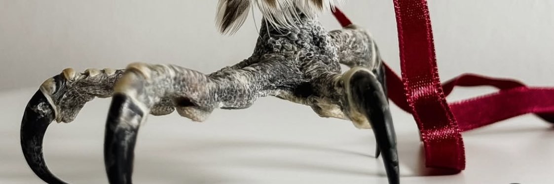 Talons banner