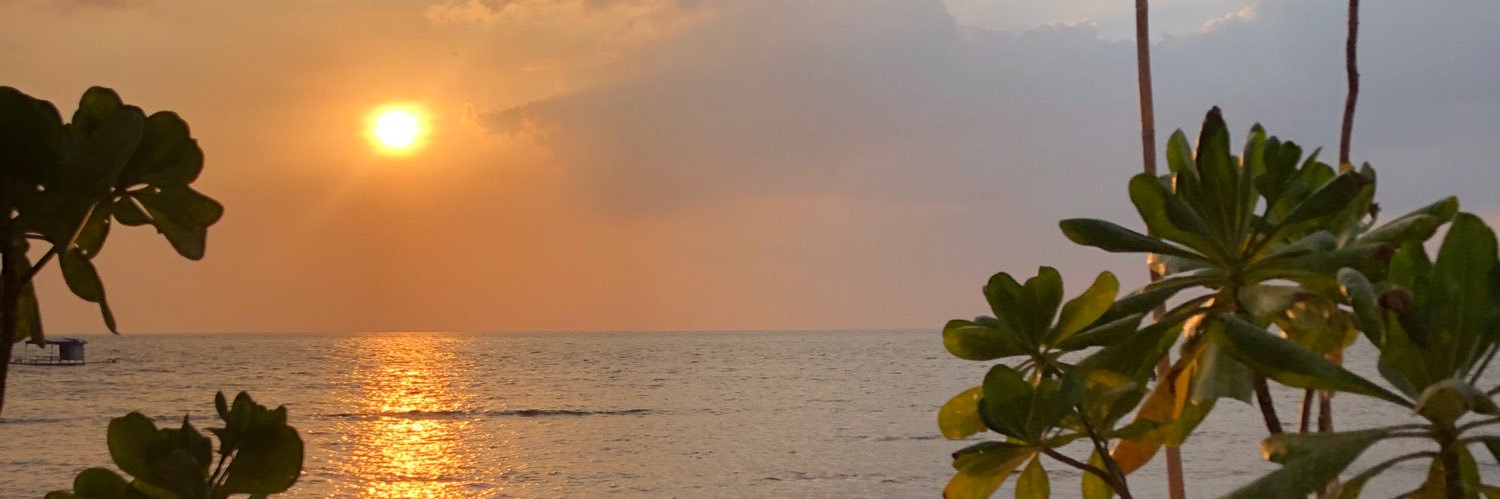 acyosano's profile banner image