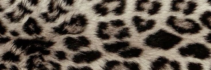 baileysocksok's profile banner image
