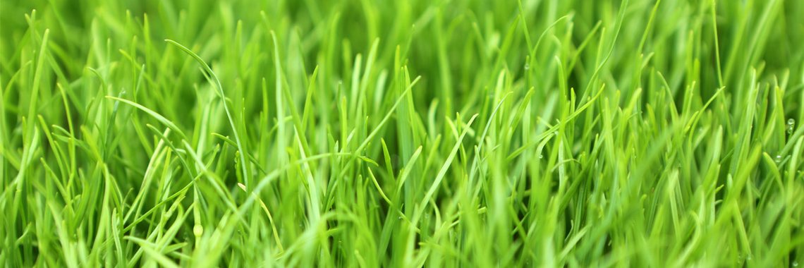 TurfJobs's profile banner image