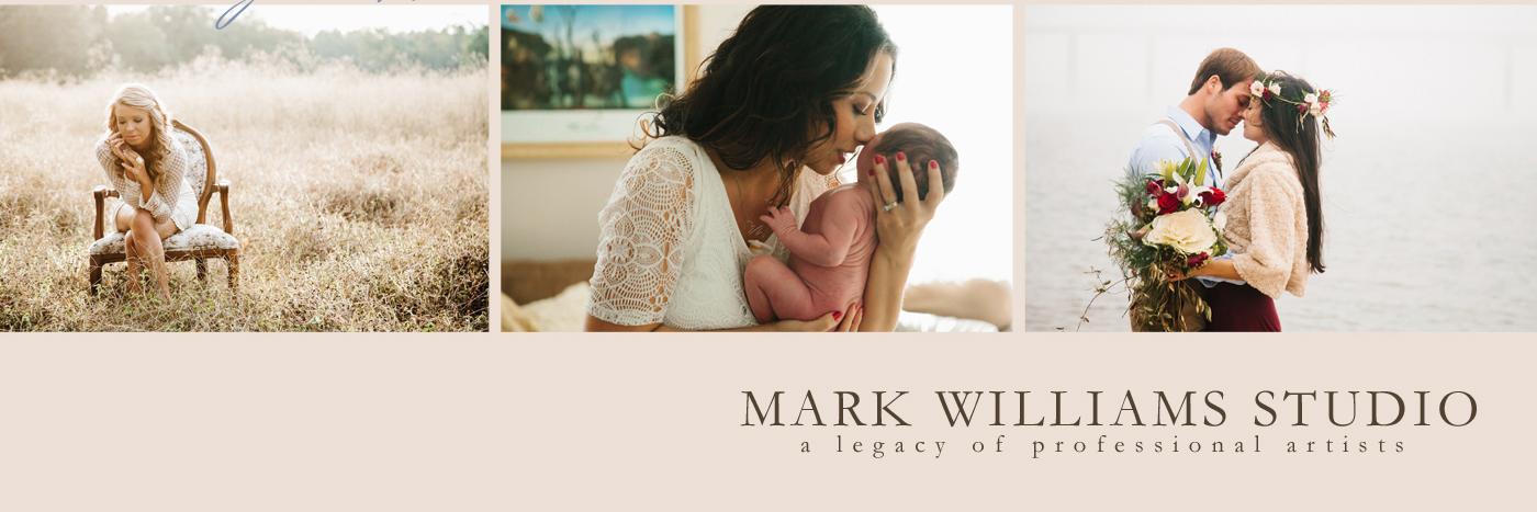 mwilliamsstudio's profile banner image