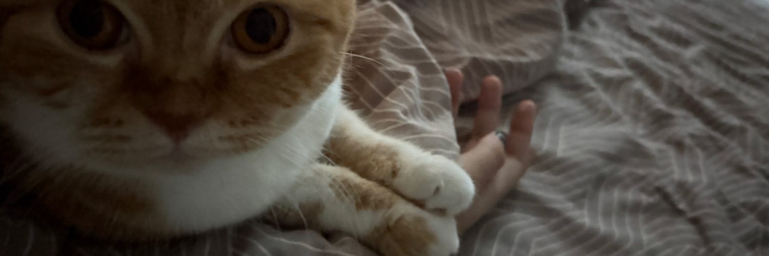 Lilly_ladapa's banner