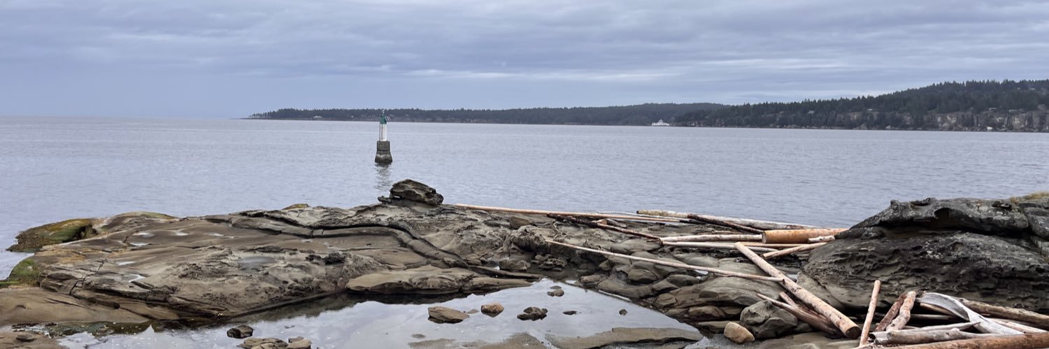 BCNicki's profile banner image