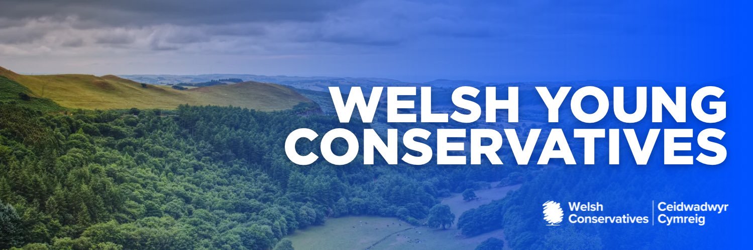 Welsh Young Conservatives banner