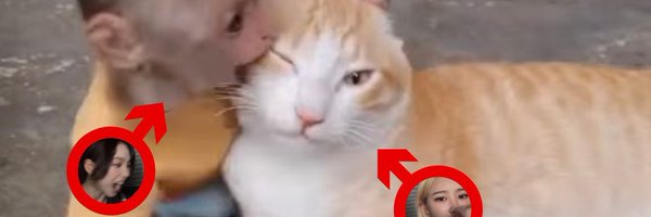 starkilla00 Profile Banner