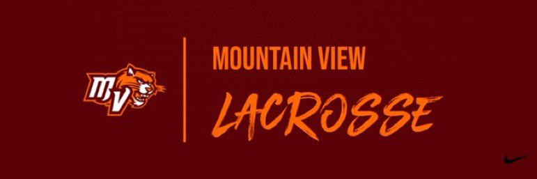 MountainViewLAX's profile banner image