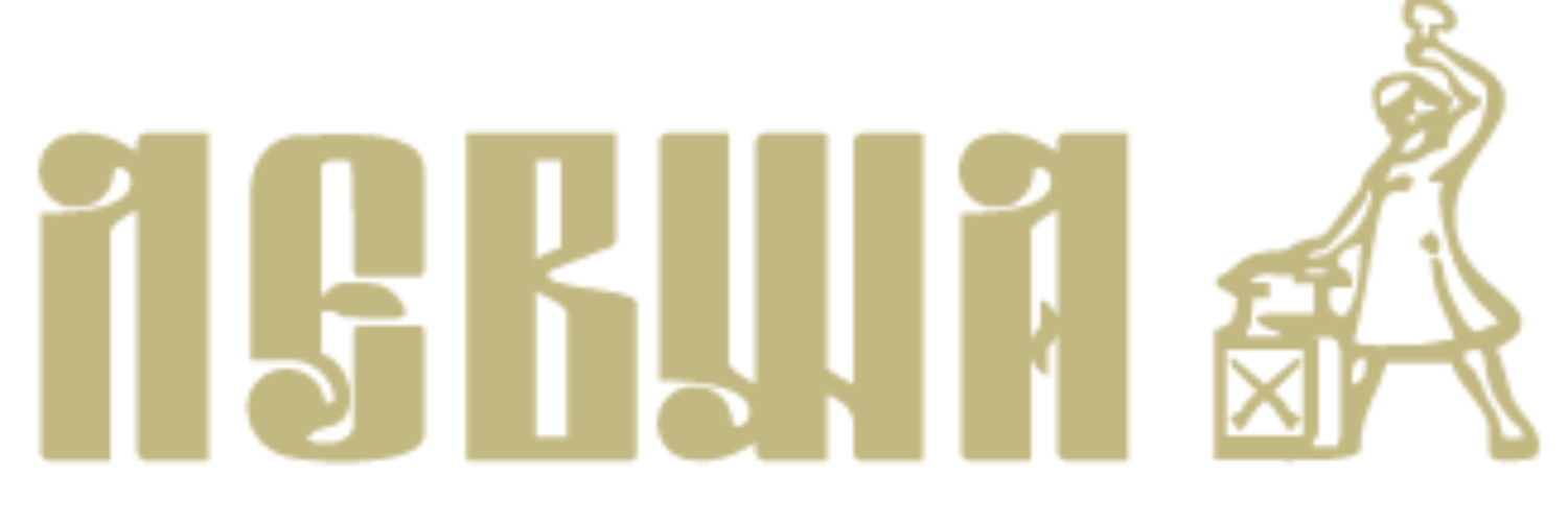 levshatula's profile banner image