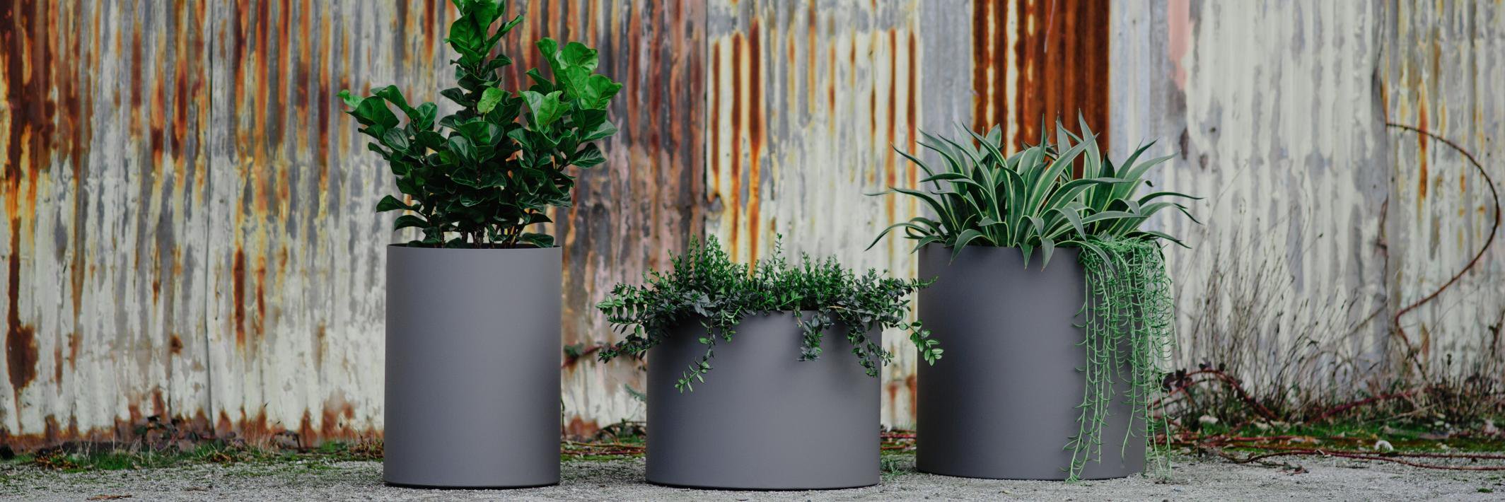 Pots Planters & More (@plantersandmore) / Posts / X