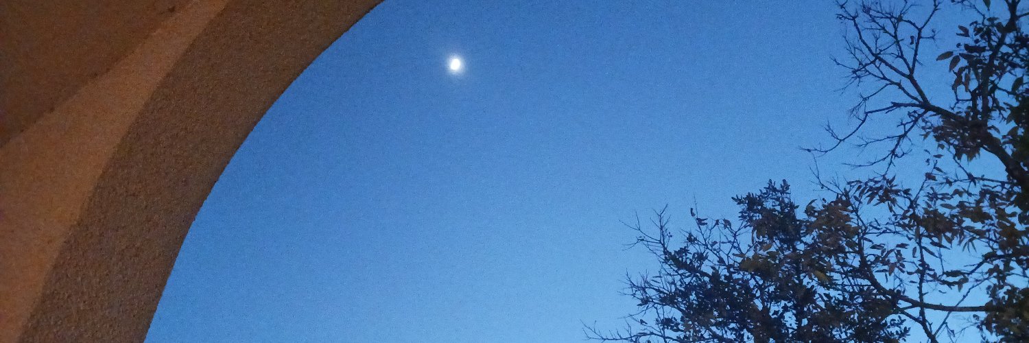 thatwhichfalls𓅓 banner