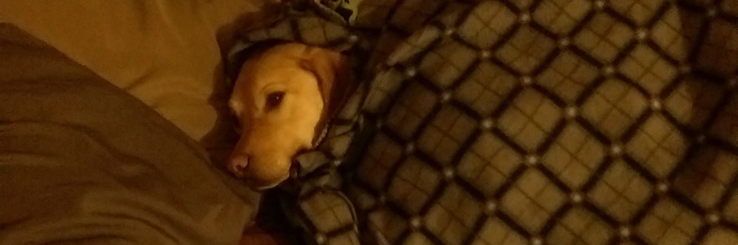 I can't remember banner