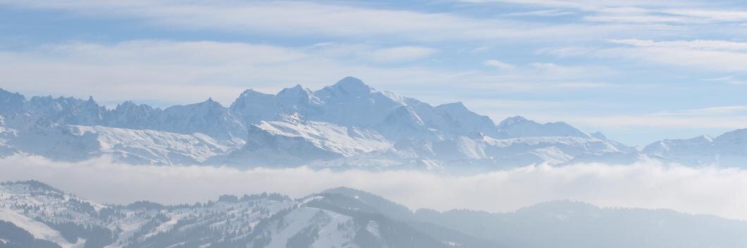 Anthony Davis banner