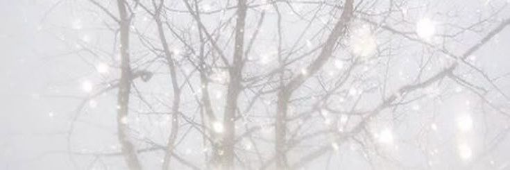 남슬 banner