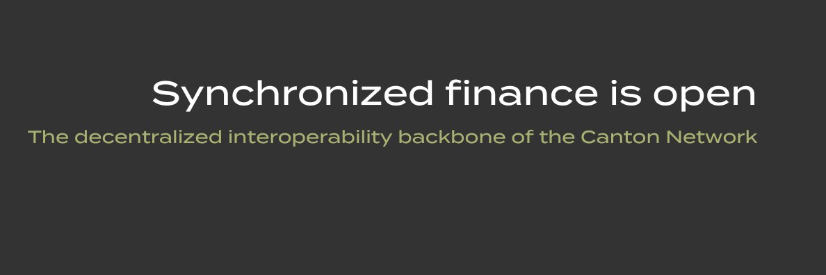 Global Synchronizer Foundation's banner