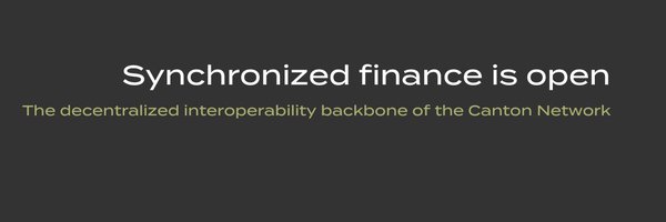 GlobalSyncFdn Profile Banner