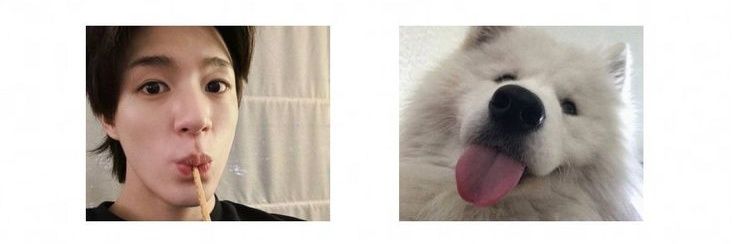 เตน่อลี banner