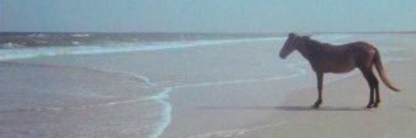 kwaad_damn Profile Banner