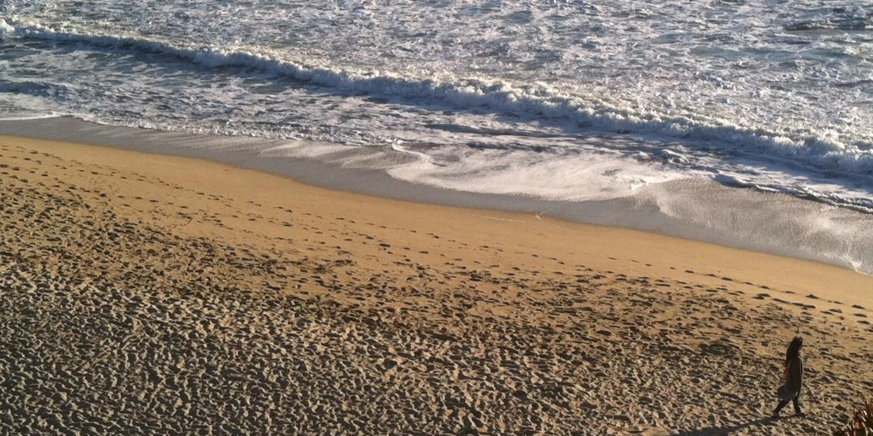 Cynthia Solis Yi banner