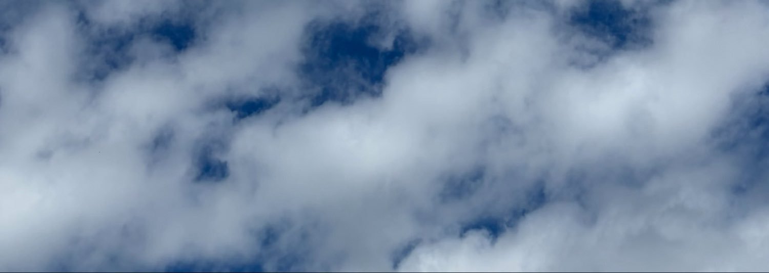 t_zoot_'s profile banner image