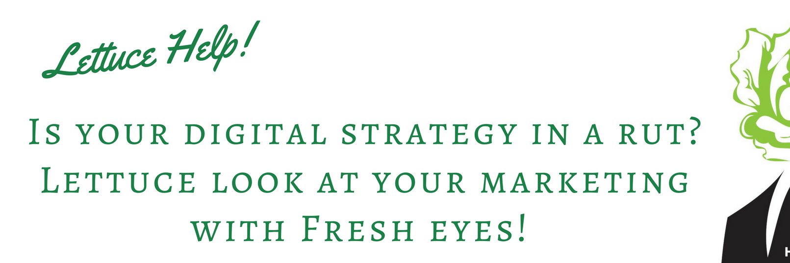 Head of LettuceMedia banner