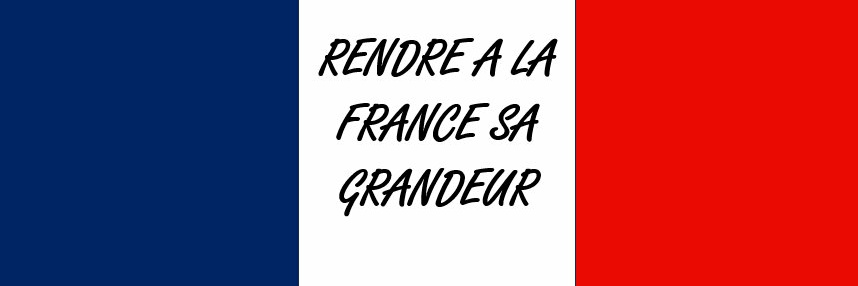 Make France Great Again 🇲🇫 🇺🇸🦅 banner
