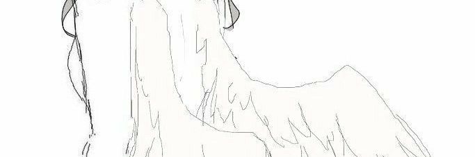 Empty ! shedtwt 0days binge free banner