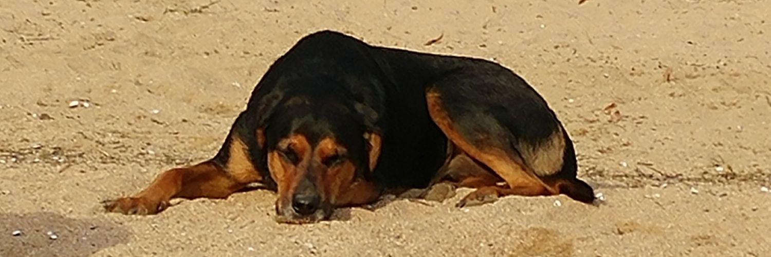 teach_sdawkins's profile banner image