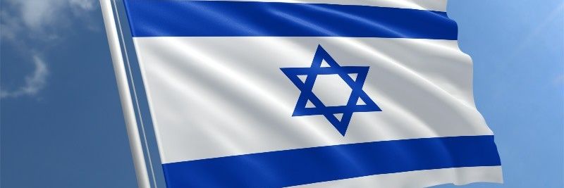 Stew_Dub banner